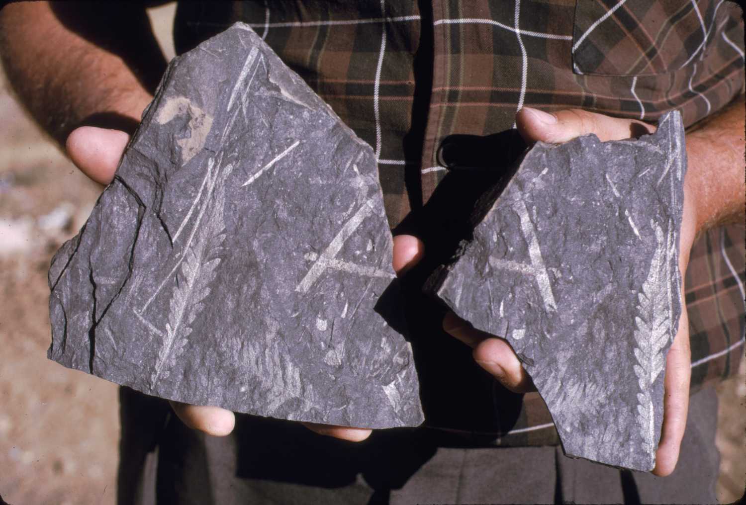 erciyasdagidezember65-slide8