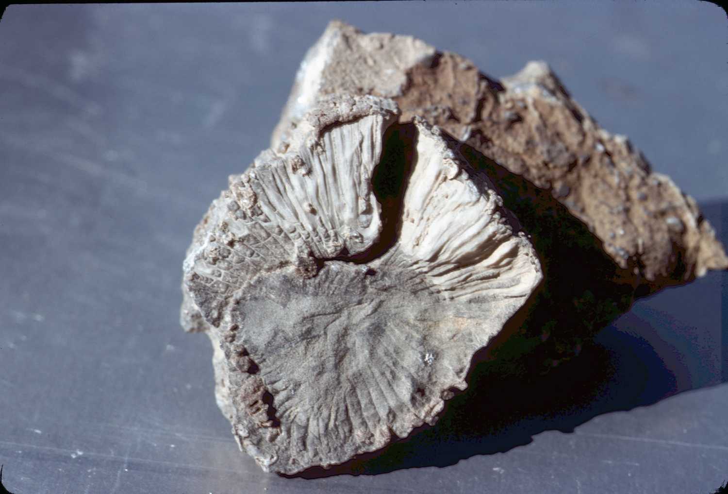 erciyasdagidezember65-slide7