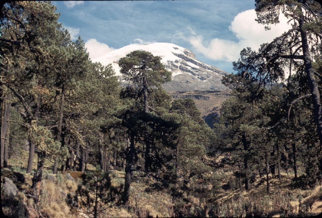 15mexikoweihnacht1978-slide17