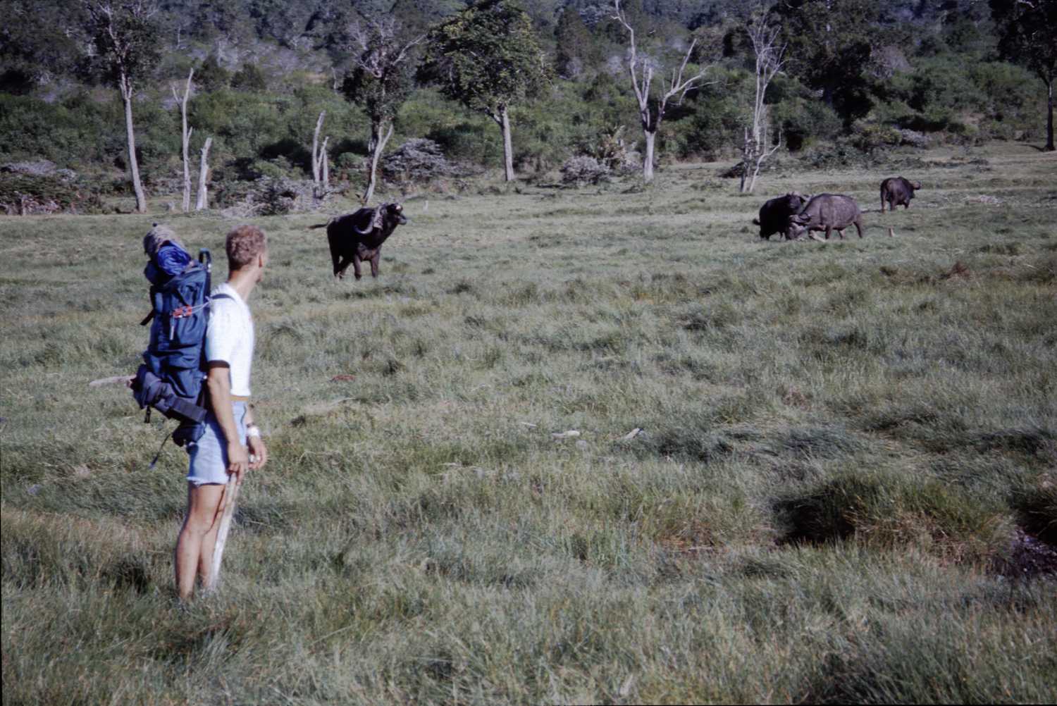 erciyasdagidezember65-slide4