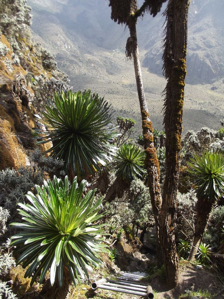 erciyasdagidezember65-slide7