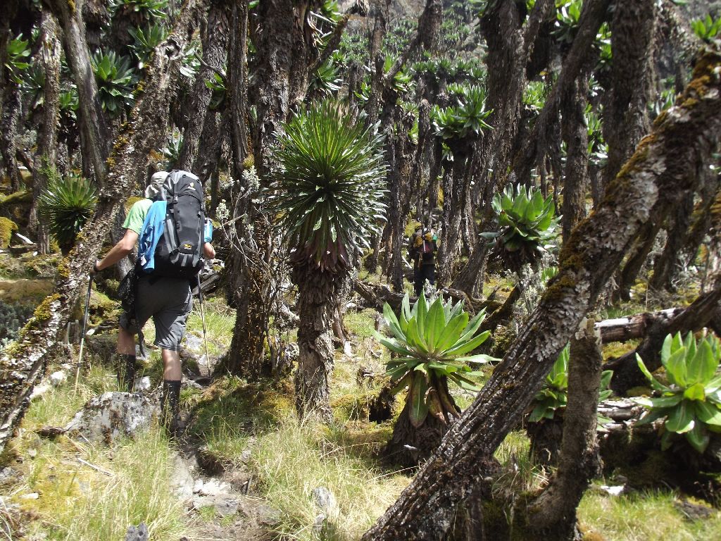 erciyasdagidezember65-slide12