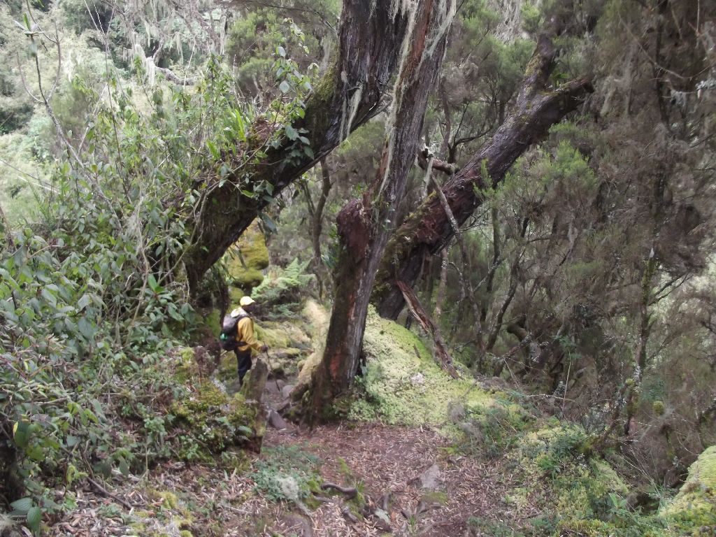 erciyasdagidezember65-slide36