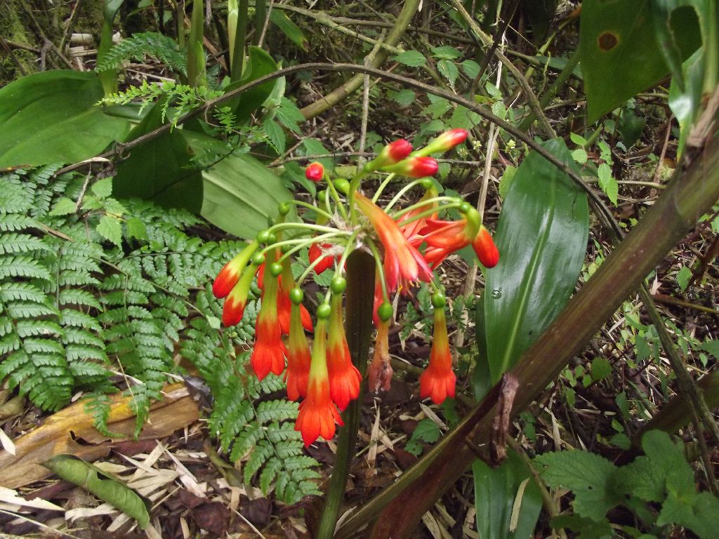 erciyasdagidezember65-slide39