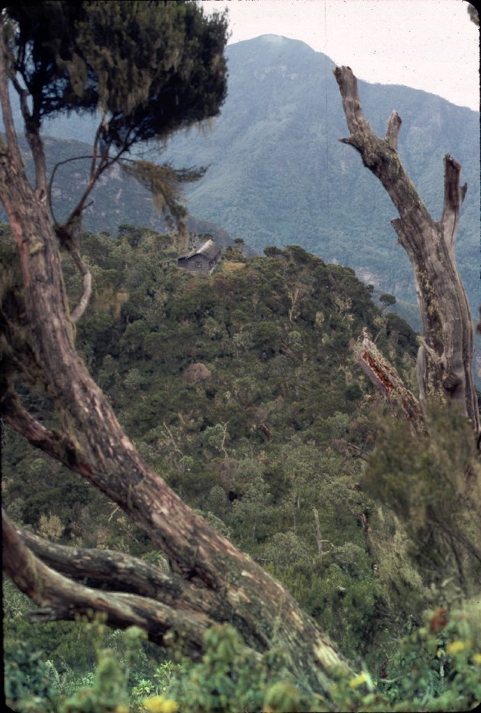 22zentralafrika85-slide5