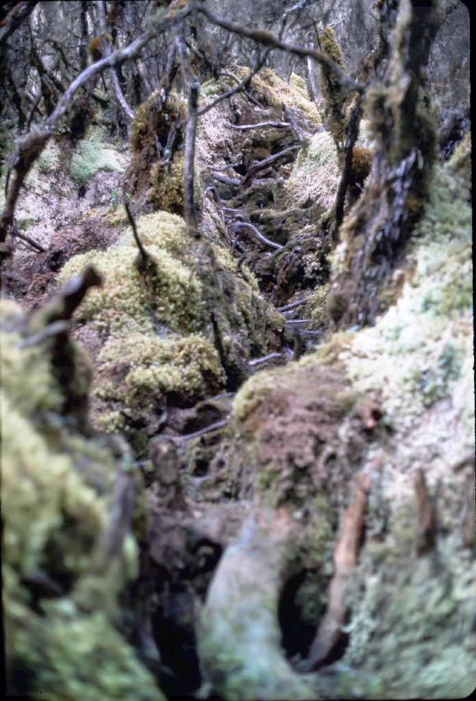 22zentralafrika85-slide7