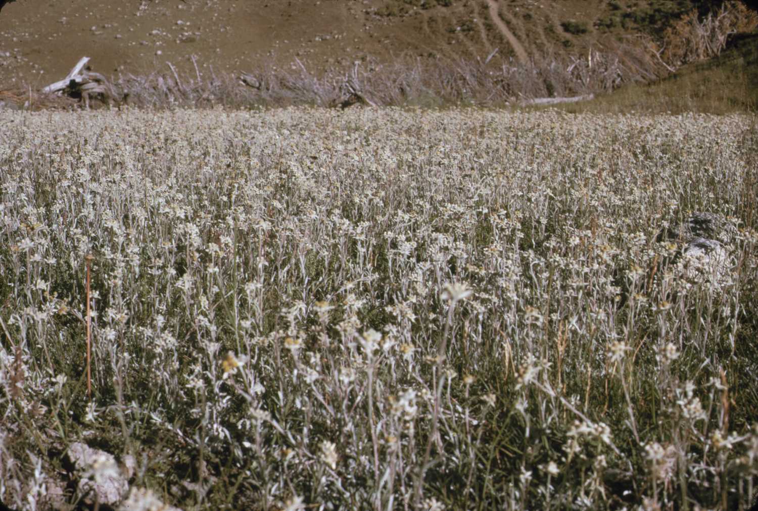 erciyasdagidezember65-slide5