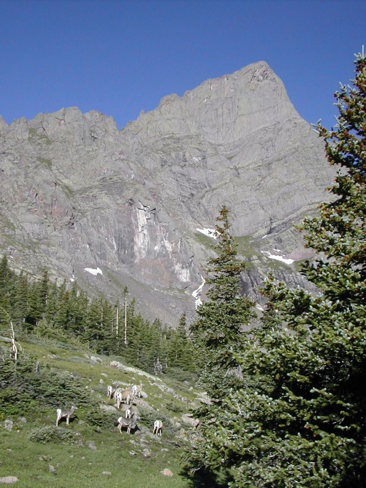 crestone-needle-slide2