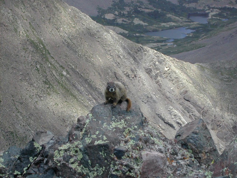 crestone-needle-slide6