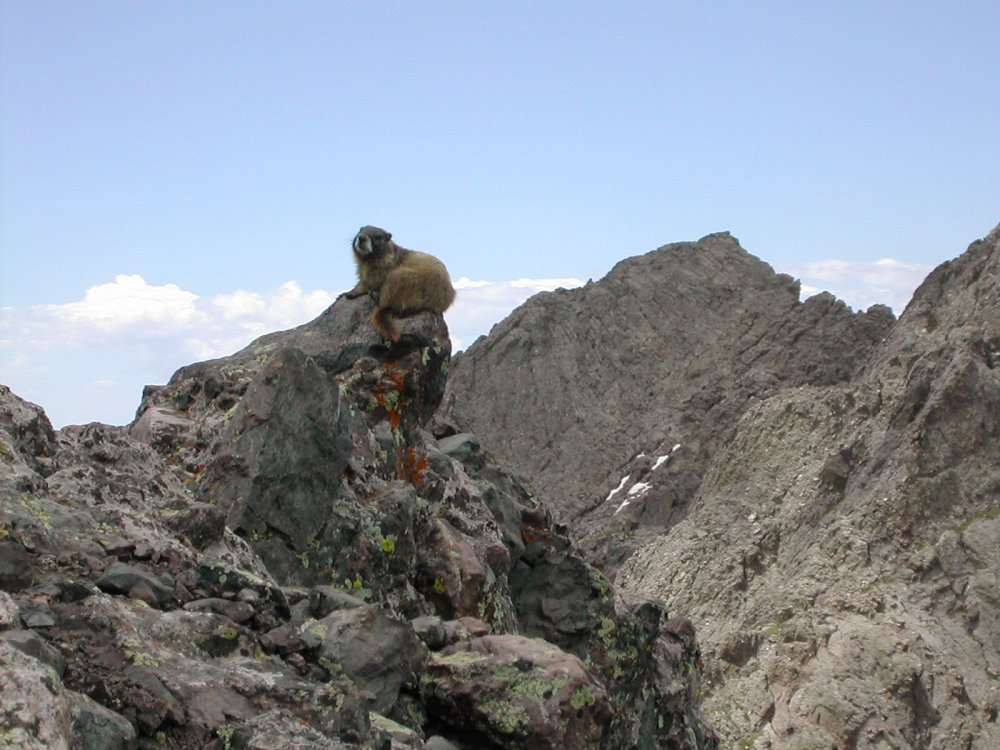 crestone-needle-slide9