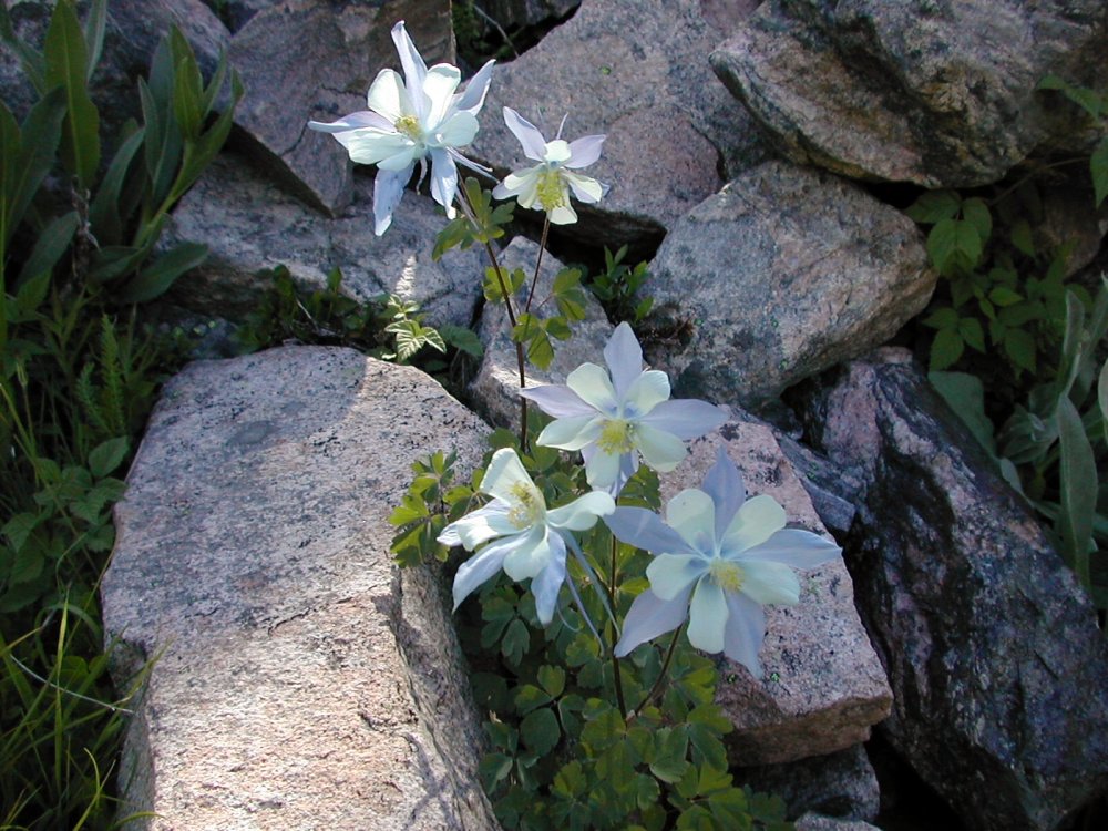 mount-holy-cross-slide4