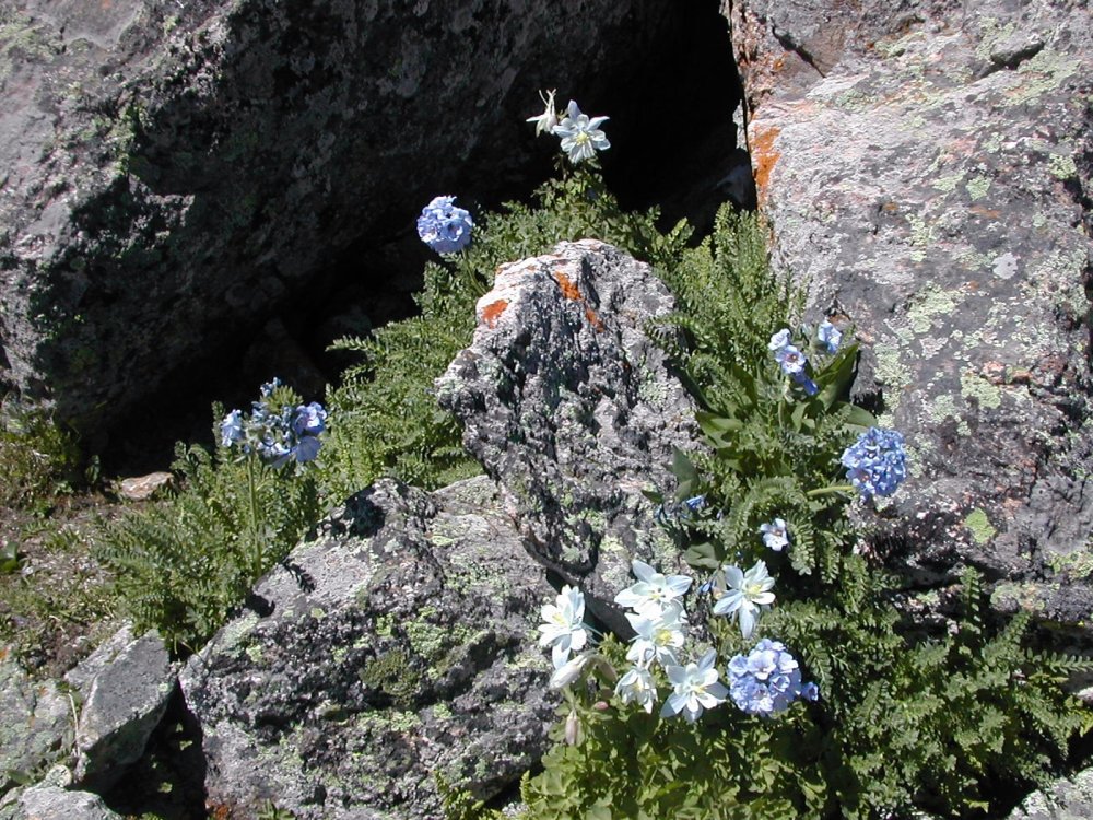 mount-holy-cross-slide5