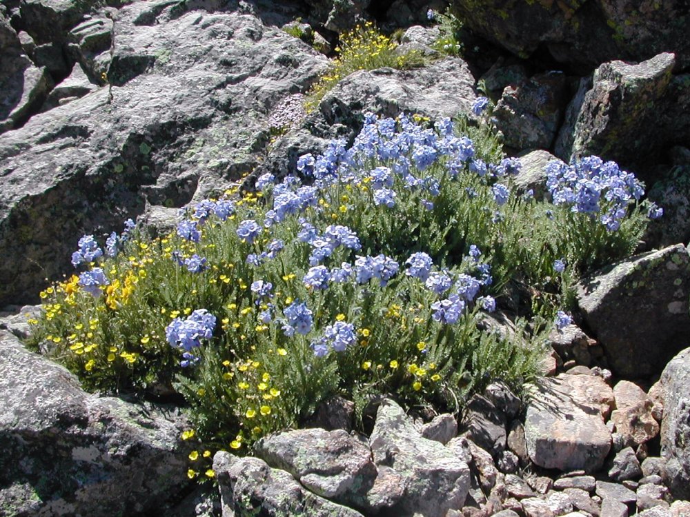 mount-holy-cross-slide7