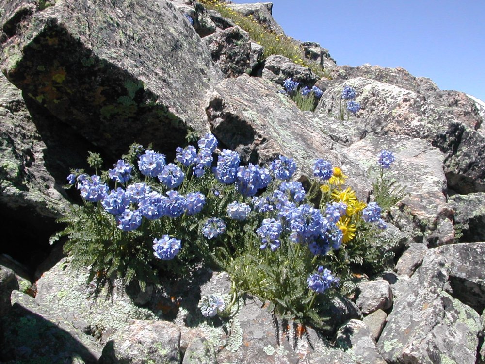 mount-holy-cross-slide8