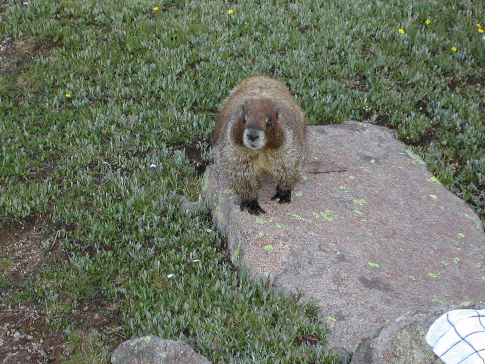 mount-wilson-slide10