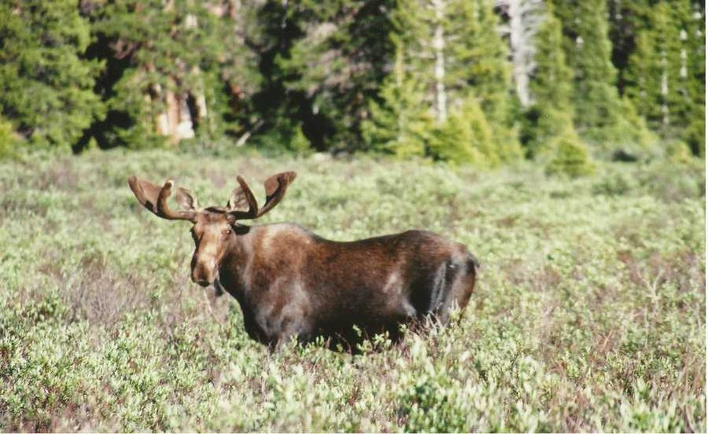 duchesnekings-pk-slide12