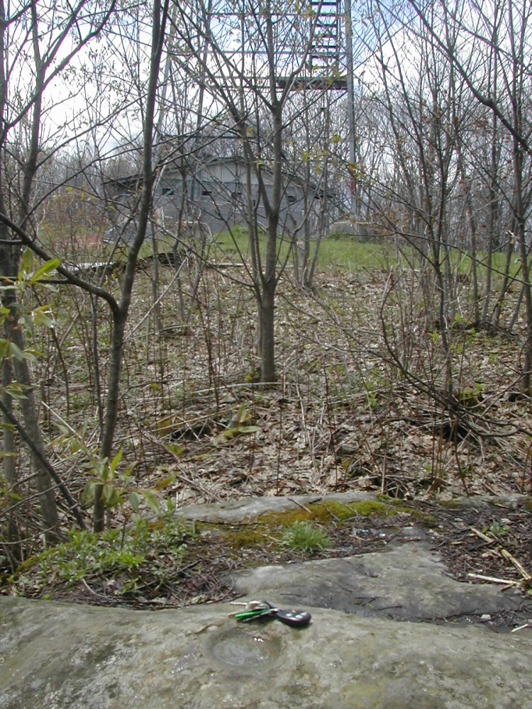 kentuckyblack-mt-slide4