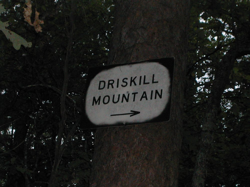 louisianadriskill-mt-slide4