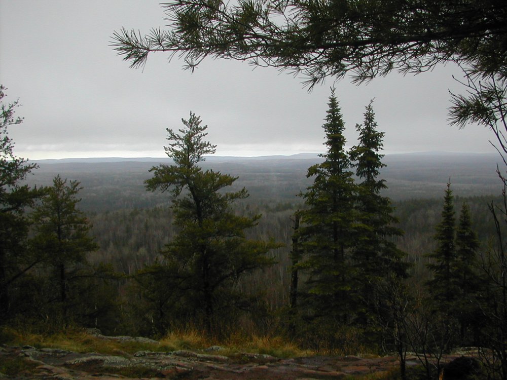 minnesotaeagle-mt-slide3