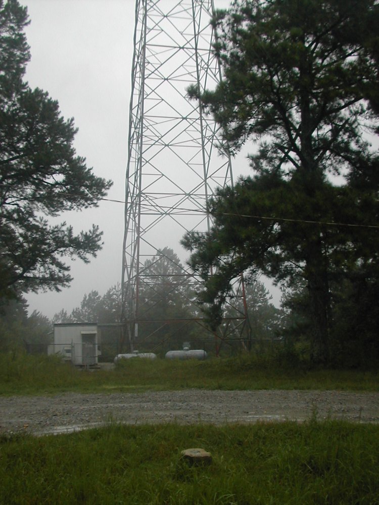 mississippiwoodall-mt-slide3