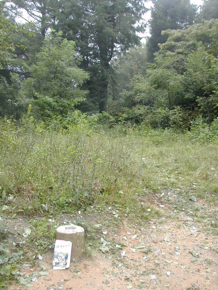 south-carolinasassafrass-mt-slide3