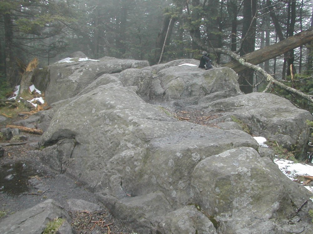 virginiamt-rogers-slide3