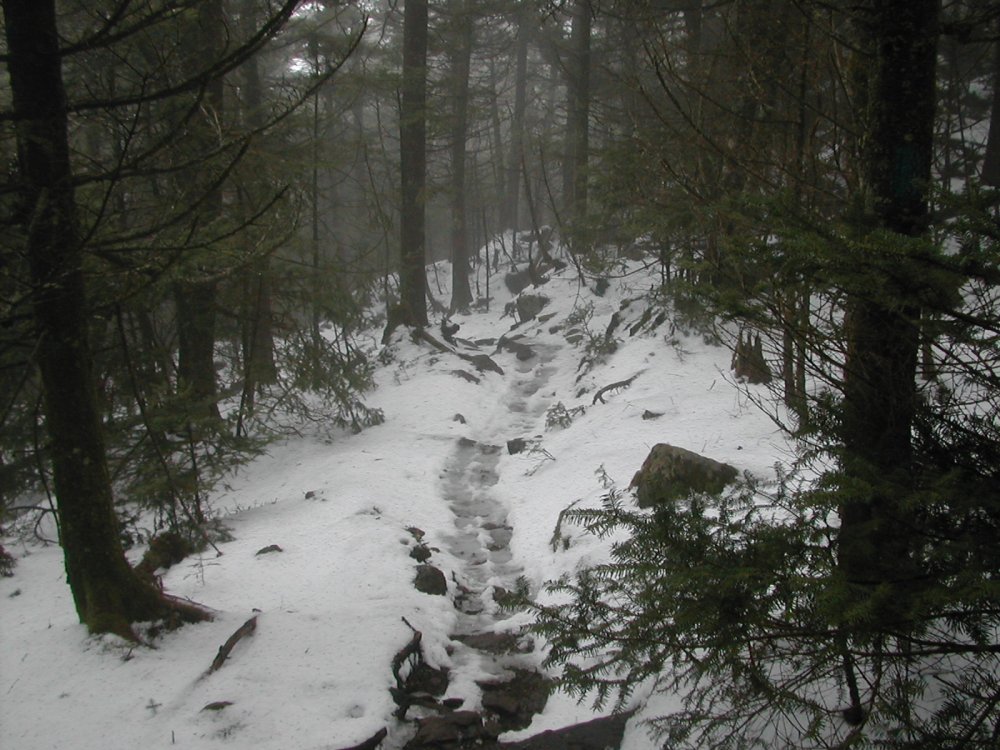 virginiamt-rogers-slide4