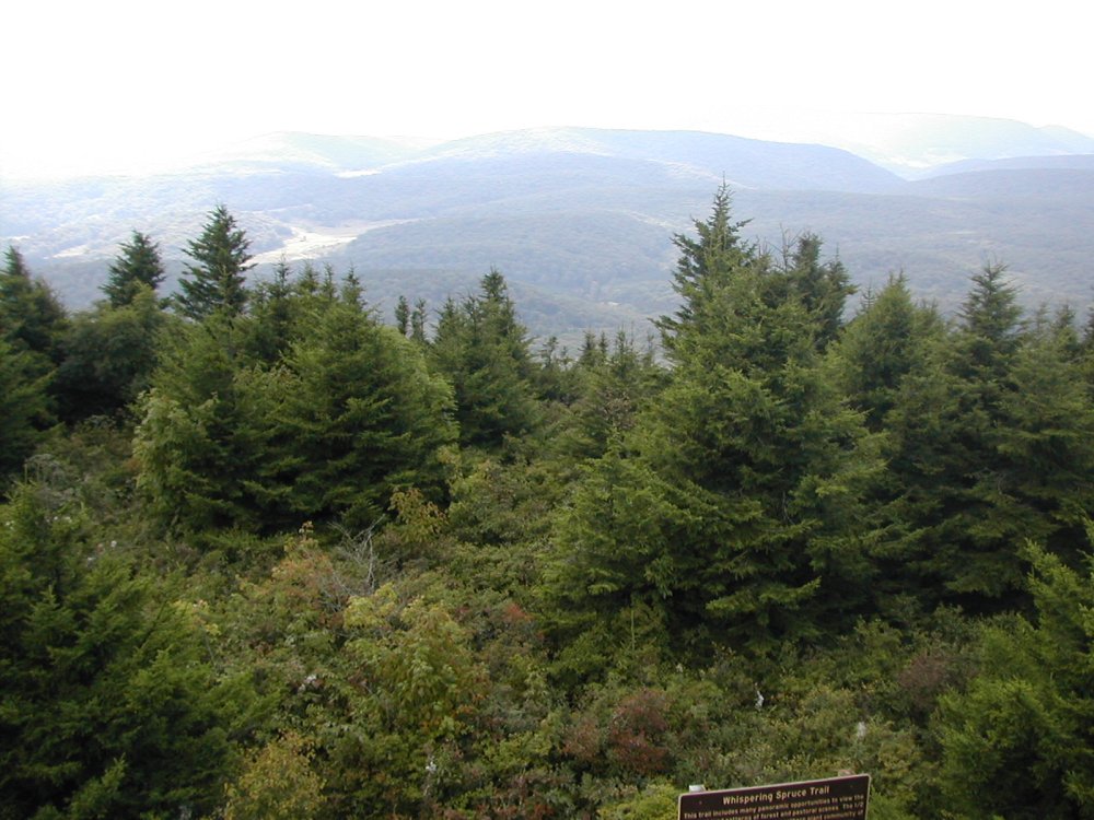west-virginiaspruce-knob-slide4