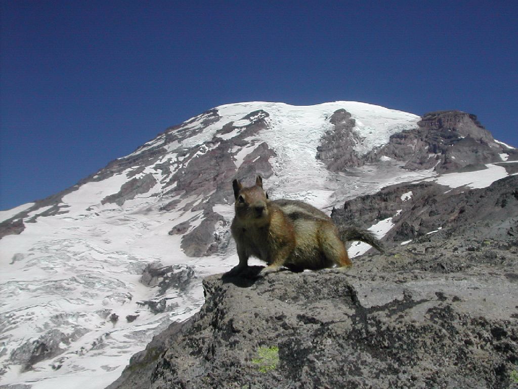 mountrainier-slide2