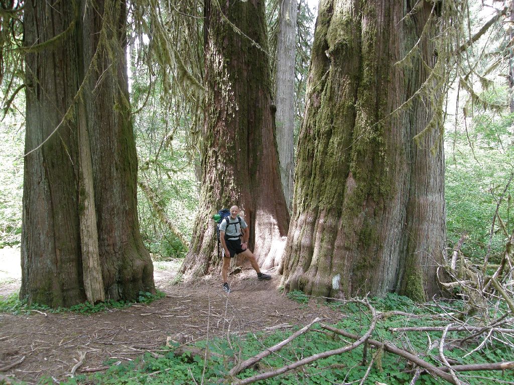 washingtonmtolimpus-slide10