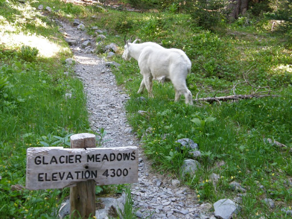 washingtonmtolimpus-slide12