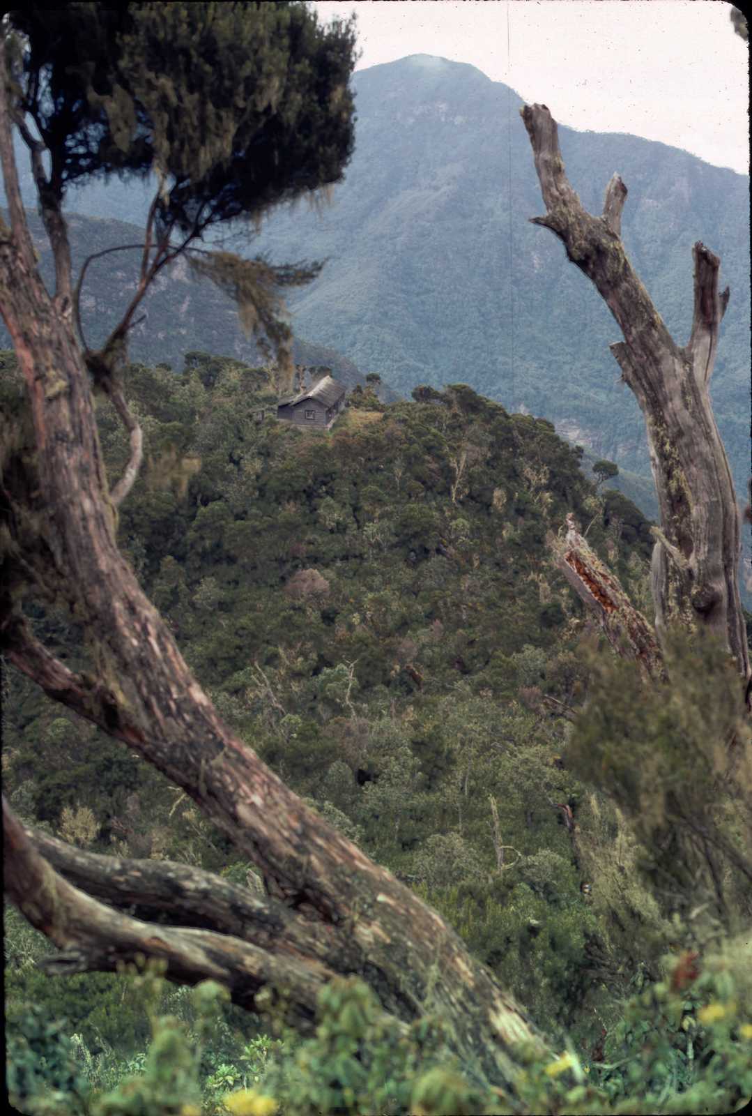 ruwenzori-slide4