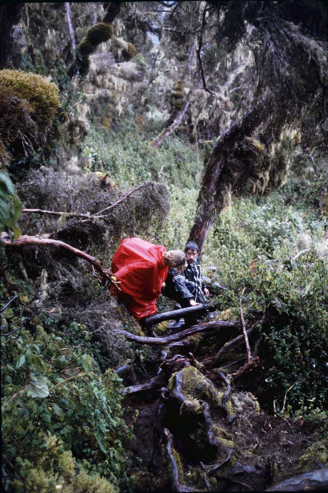 ruwenzori-slide11